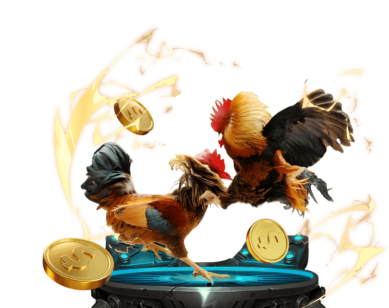 Đá gà trực tiếp Hi88